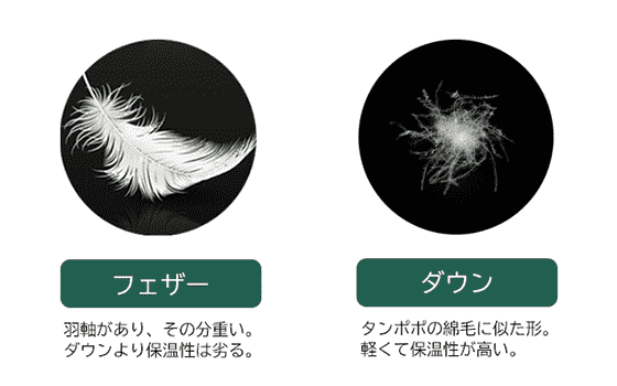 今日日语单词:羽毛布団 今日日语单词:羽毛布団