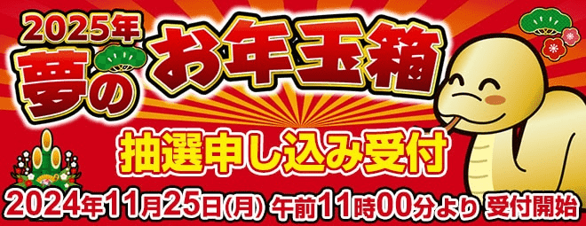 Yodobashi「2025 年 夢のお年玉箱」 Yodobashi「2025 年 夢のお年玉箱」